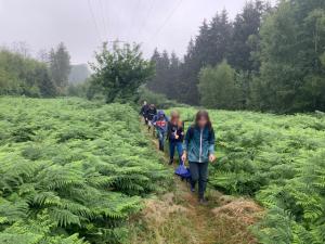 bei-Wind-und-Wetter